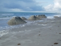 mui02water-060914.JPG